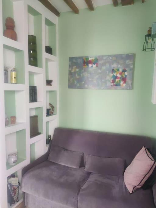 Apartment Un Bel Atypique *